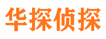 向阳市侦探公司